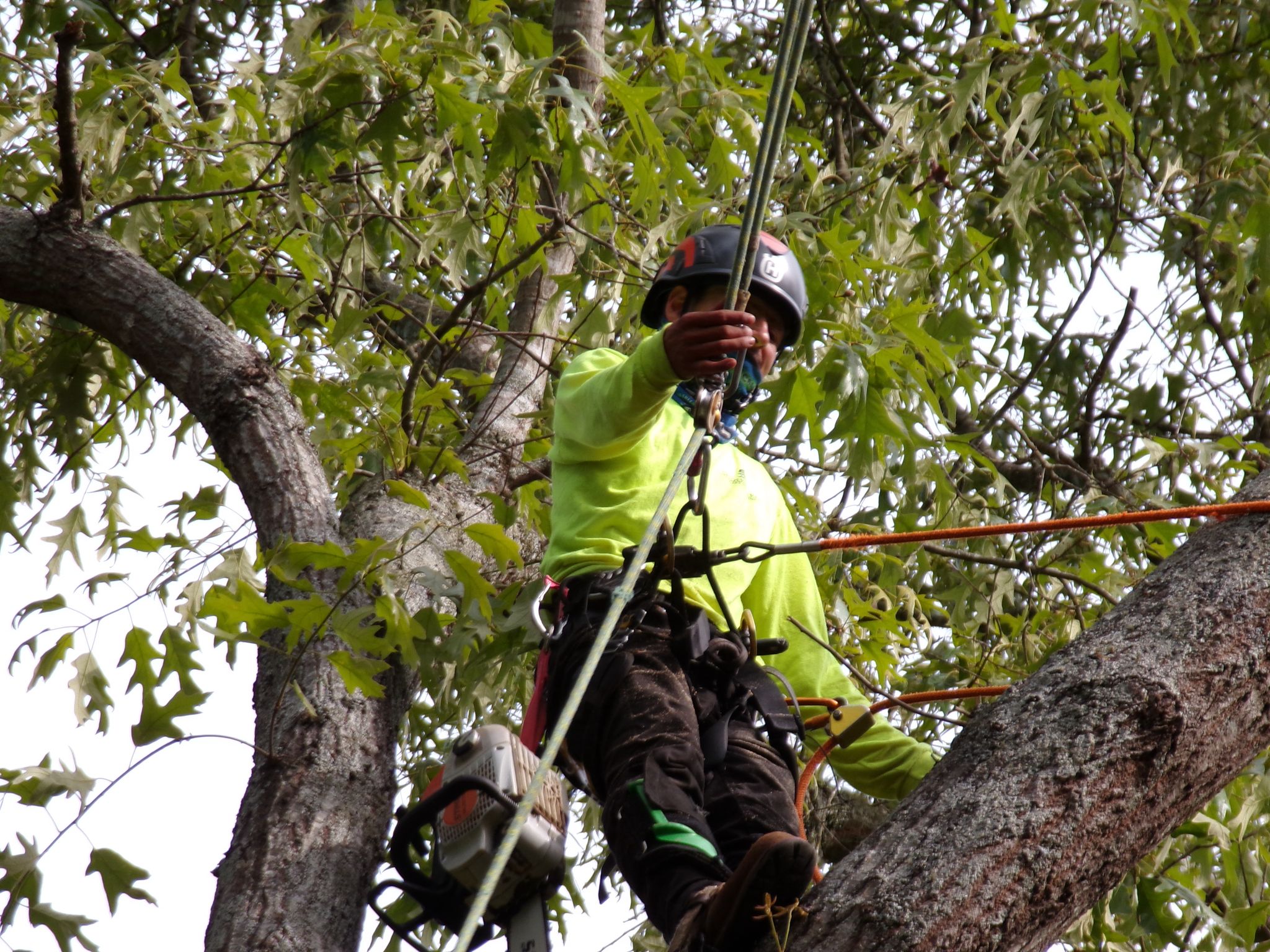 Imagen de WhatsApp 2025-03-12 a las 20.57.11_ef107a7e